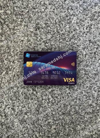 South Korea Industrial Bank visa classic card photolook front
